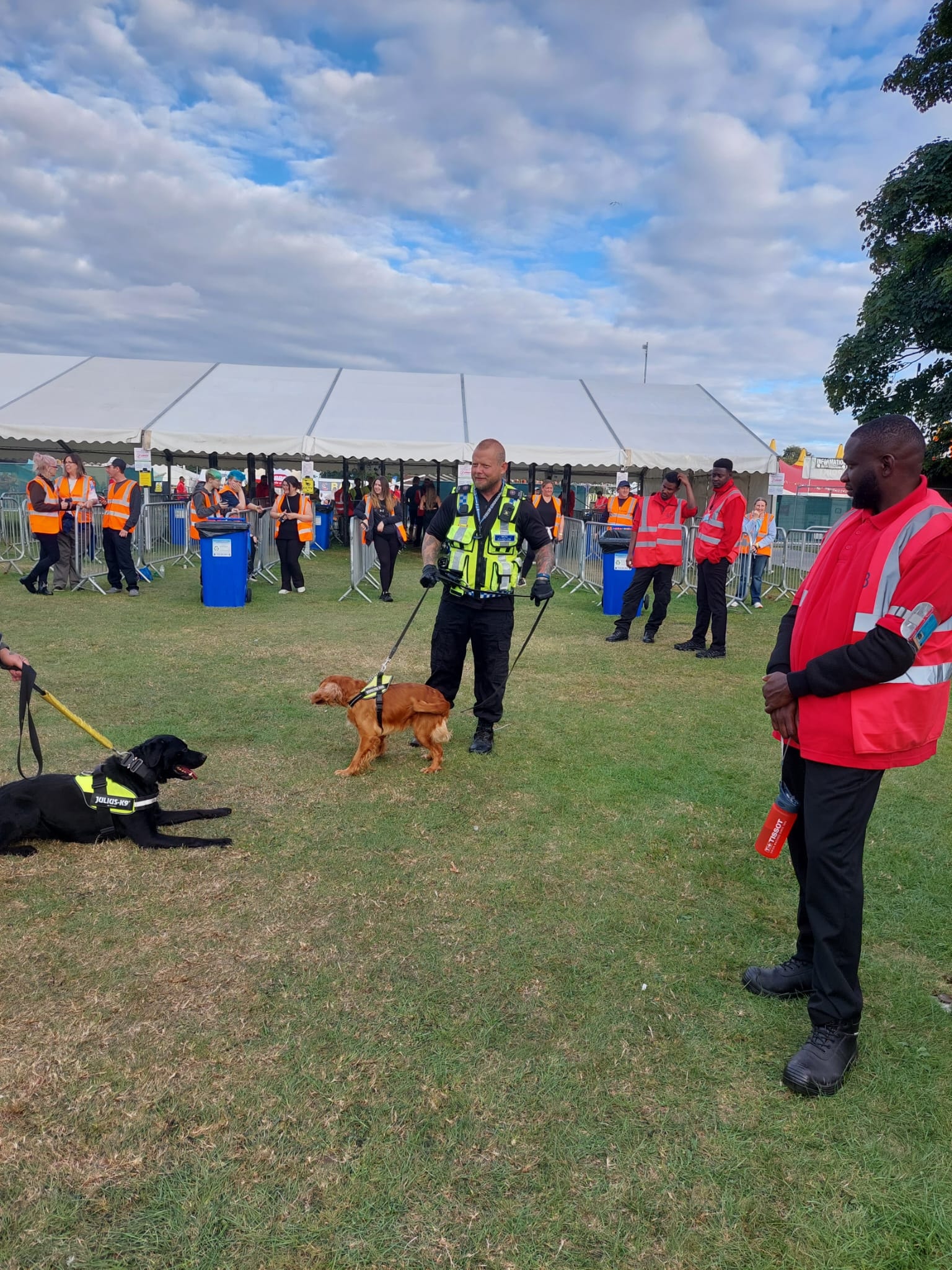 Security personnel with sniffer dogs at an outdoor festival event entrance